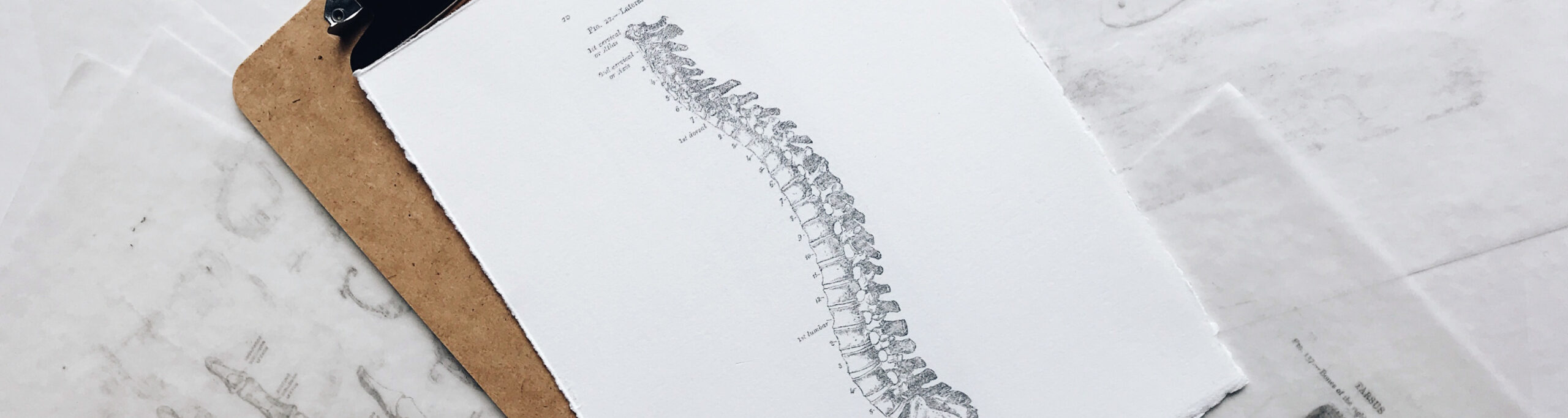 Spinal and joint manipulation